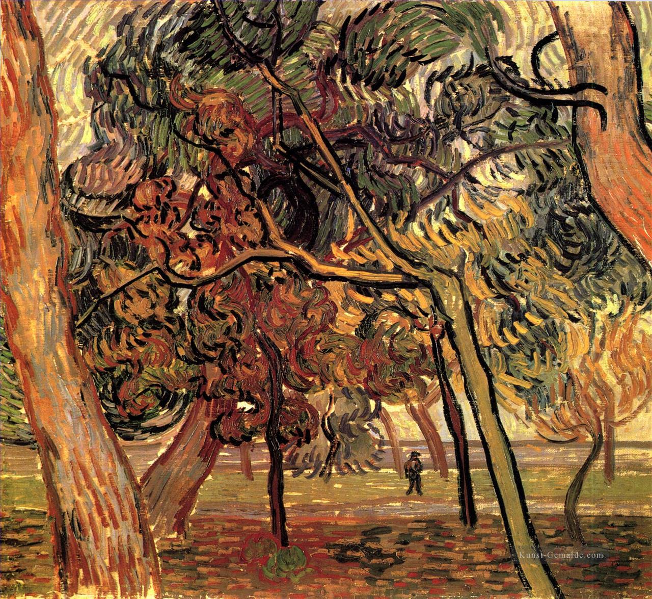 Studie von Kiefern 1889 Vincent van Gogh Ölgemälde